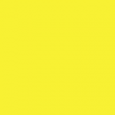 flo yellow.PNG